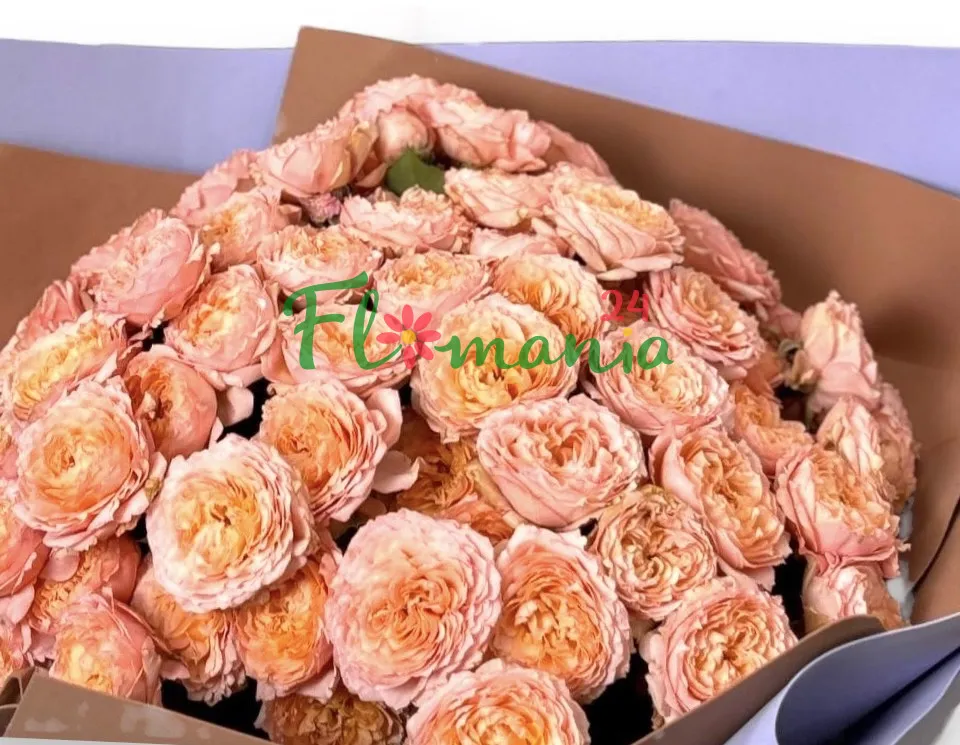 Букет из кустовых пионовидных роз сорта Juliet